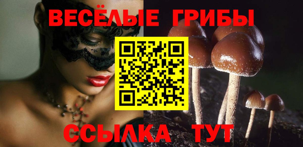 Галлюциногенные грибы GOLDEN TEACHER Краснотурьинск