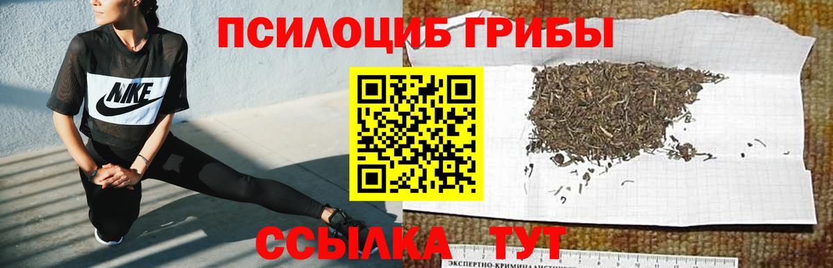 Краснотурьинск  Псилоцибиновые грибы прущие грибы  Галлюциногенные грибы мухоморы  магазин продажи наркотиков  Вход с VPN 